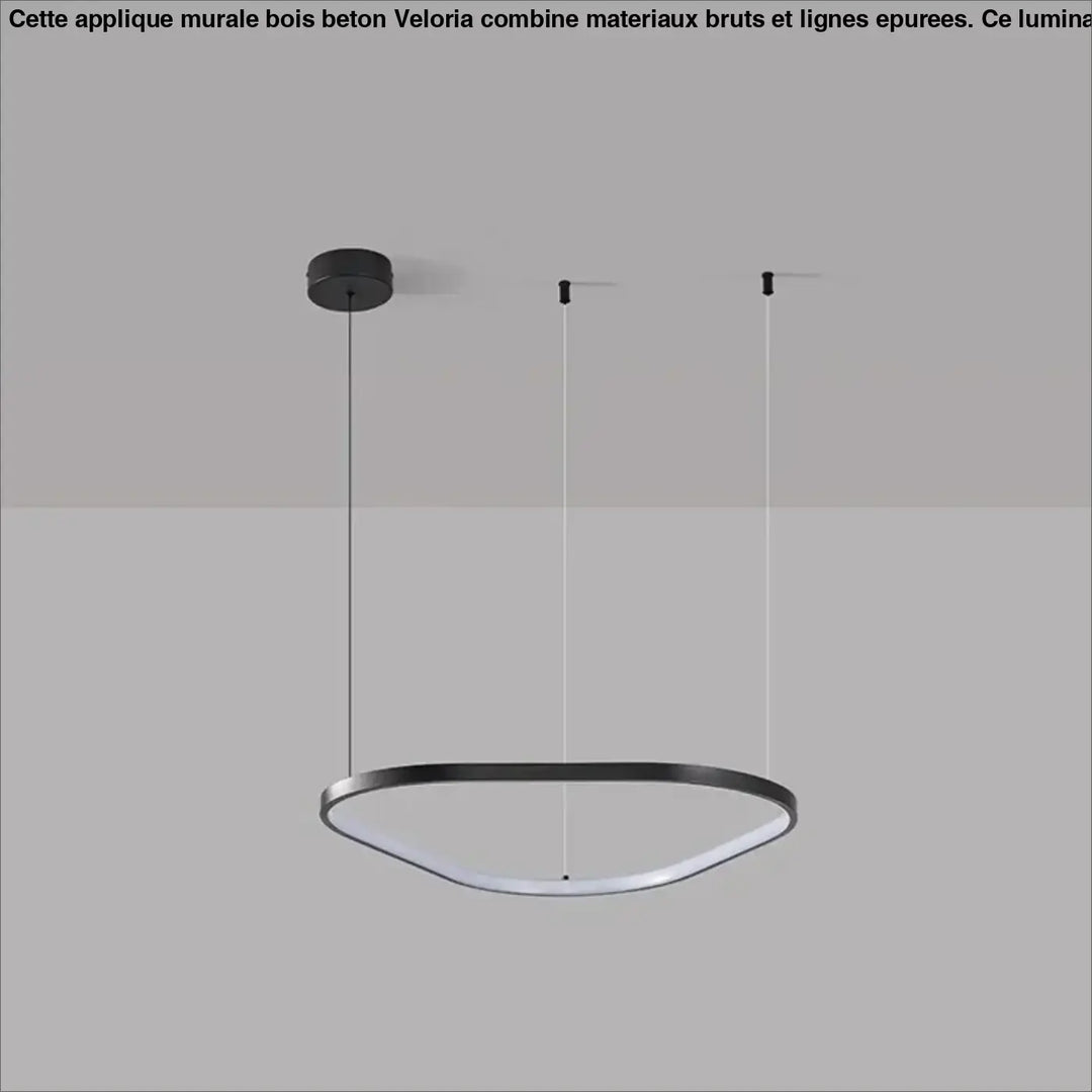 Suspension led noire design ovale moderne réglable blanc noir
