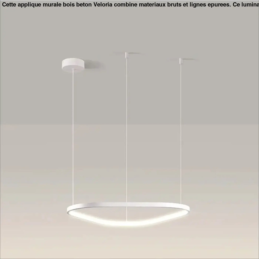 Suspension led noire design ovale moderne réglable blanc noir