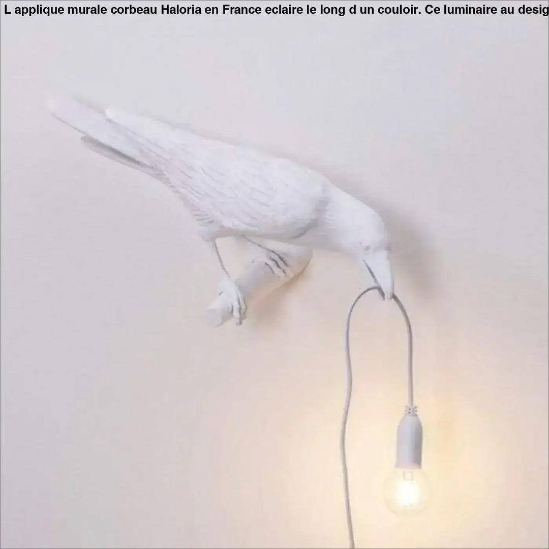 Applique Murale Corbeau Aluminium Noir Blanc