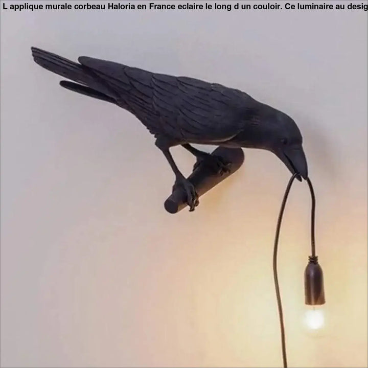 Applique Murale Corbeau Aluminium Noir Blanc