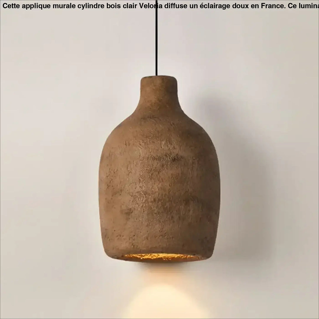 Suspension luminaire chic en résine forme organique moderne