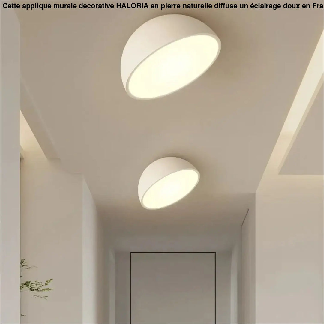 Plafonnier demi sphère bois led design moderne naturel