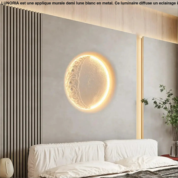 Applique Murale Décorative Demi Lune Acrylique