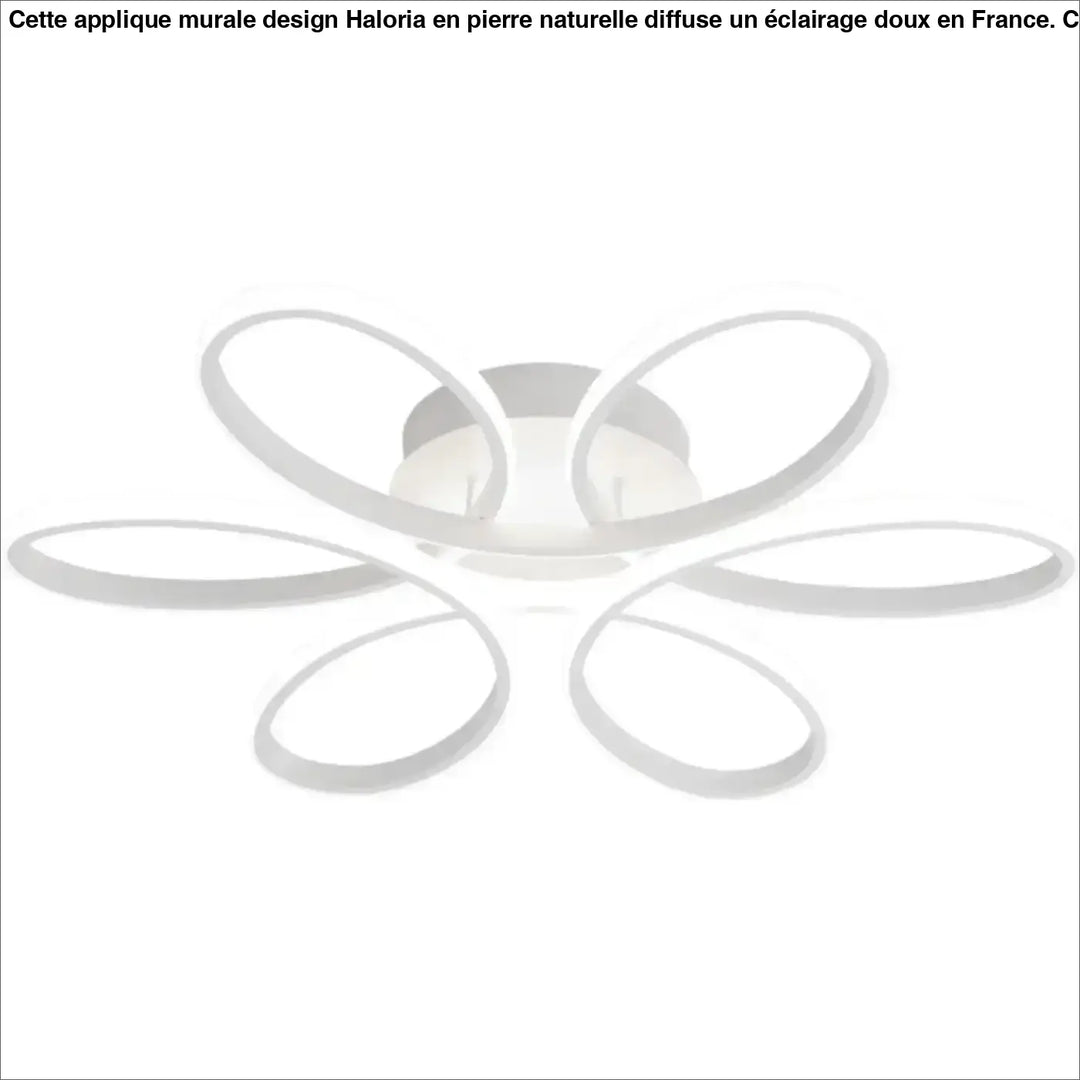 Plafonnier LED Design Moderne À Forme Florale Ovale 