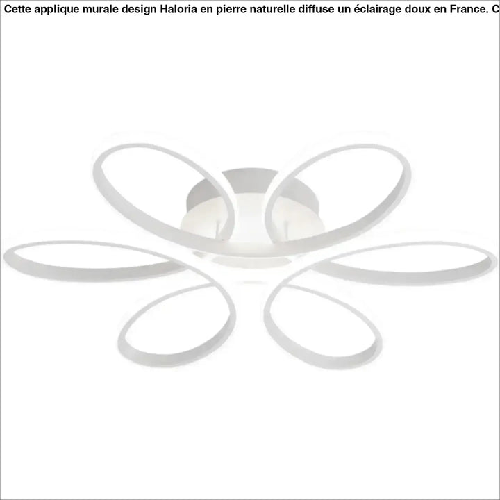 Plafonnier LED Design Moderne À Forme Florale Ovale 