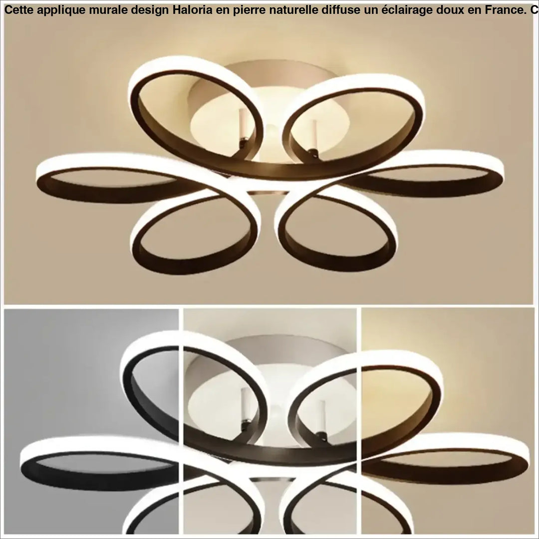 Plafonnier LED Design Moderne À Forme Florale Ovale 