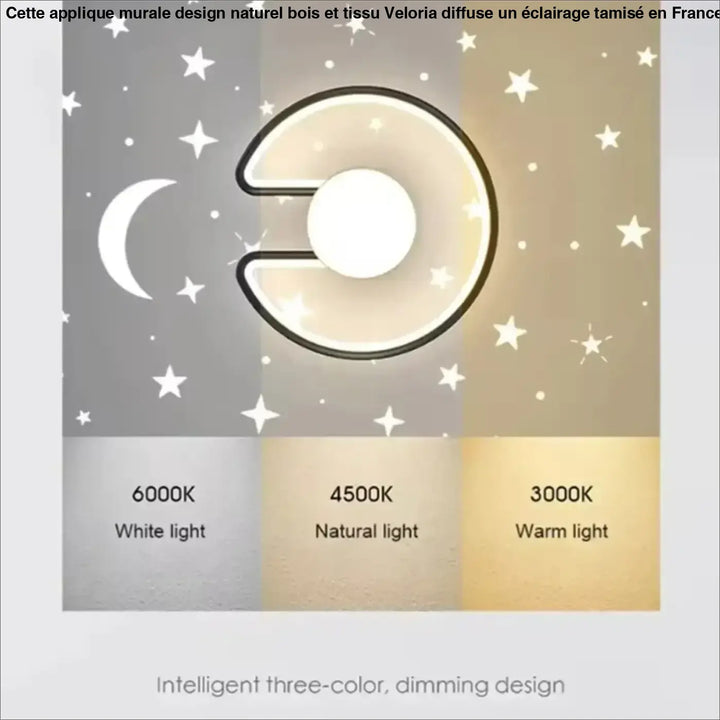Plafonnier led design moderne noir et doré avec globe