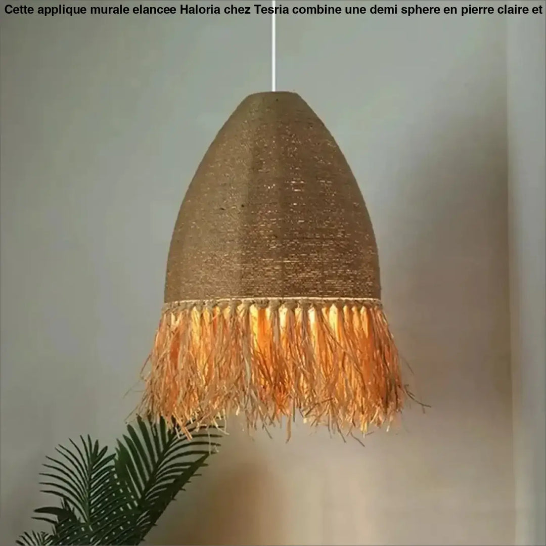 Suspension Rotin Naturel Avec Franges Design Bohème Chic

