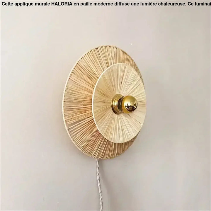 Applique Murale En Paille Moderne Design Solaire