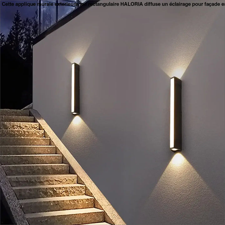 Applique Murale Extérieure LED Rectangulaire Noire Moderne