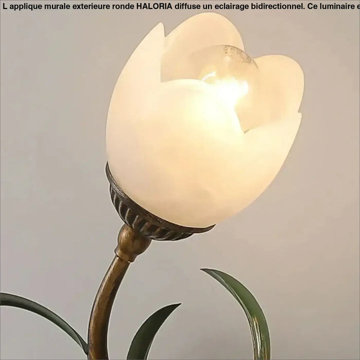 Applique murale florale dorée avec globe en verre blanc chic