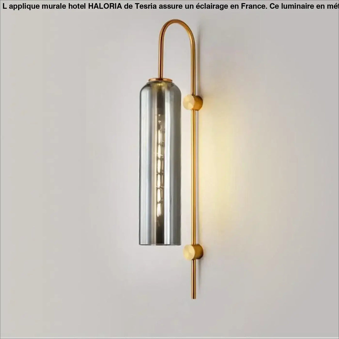 Applique murale hotel haloria avec cadre incurvé en laiton et abat-jour cylindrique en verre fumé pour murale hotel moderne