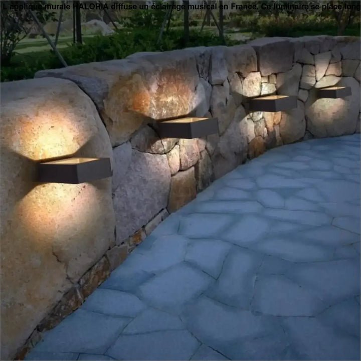 Applique murale noire moderne HALORIA avec éclairage chaud focalisé, idéale long d’un couloir ou autour d’un miroir