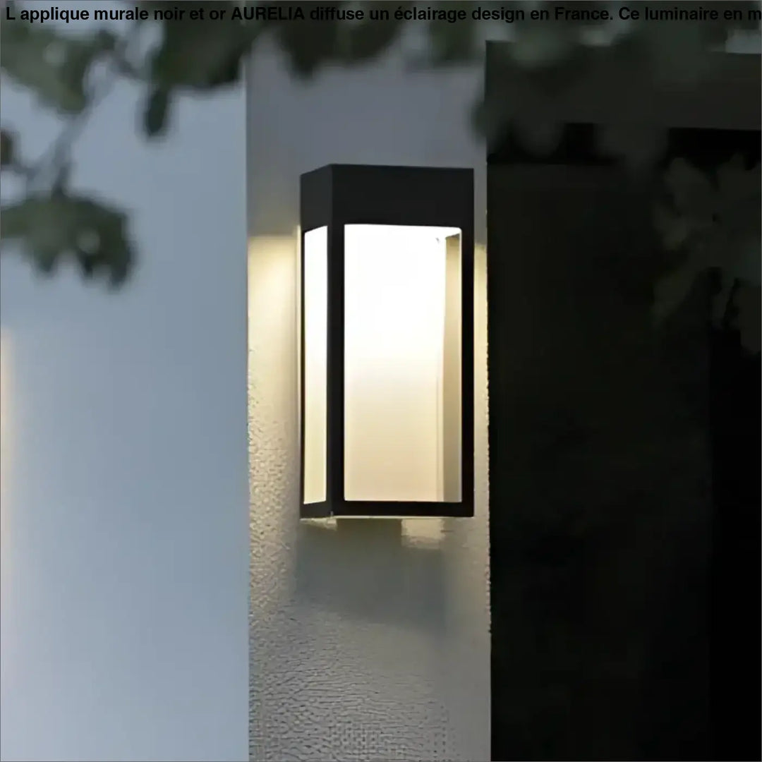 Applique murale noir aurelia rectangulaire avec panneau en verre dépoli diffusant une lumière blanche chaude