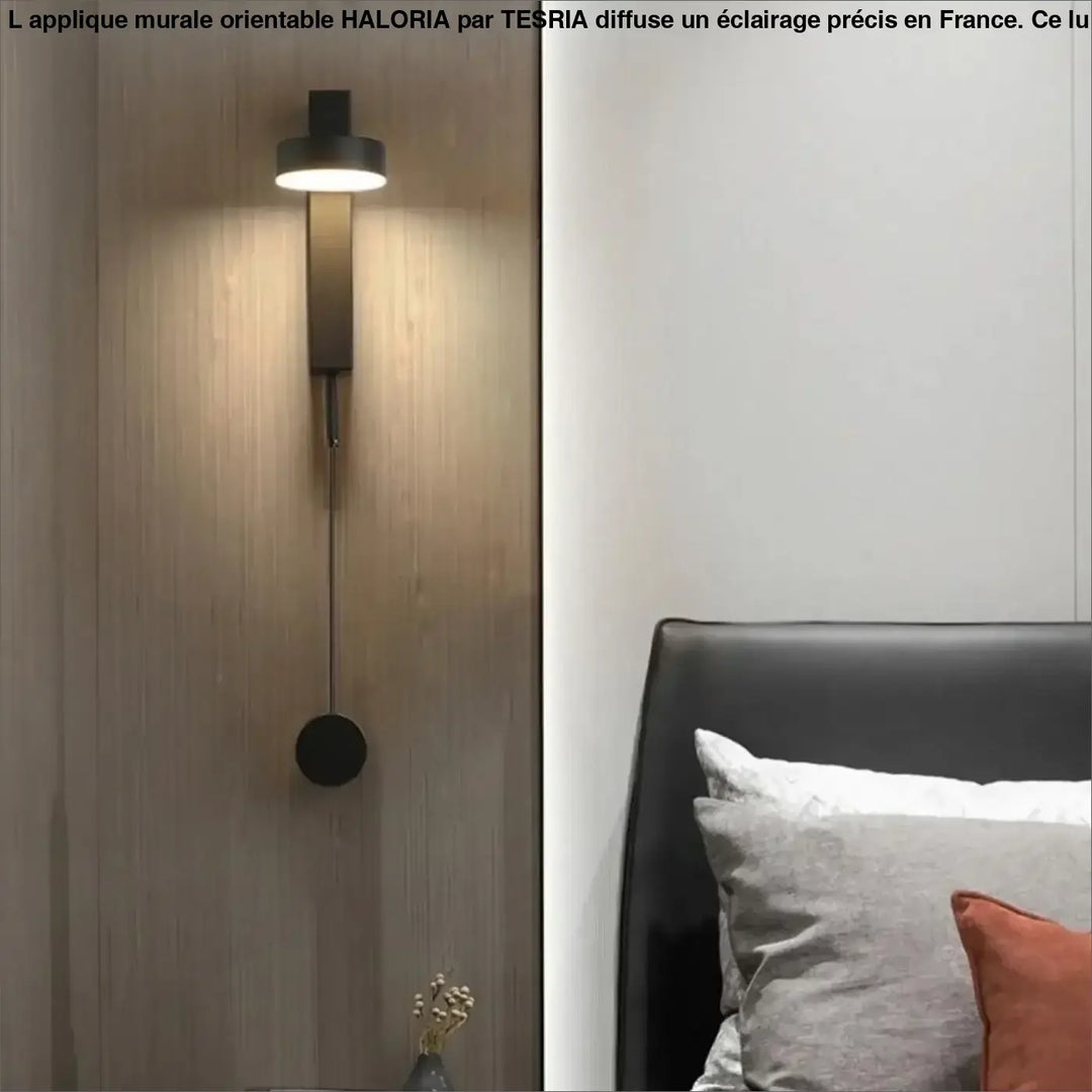 Applique Murale Orientable Design Lampadaire Noir