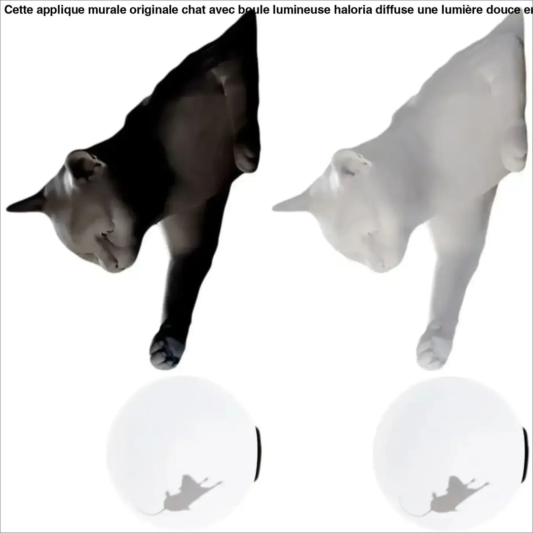 Applique Murale Originale Chat Avec Boule Lumineuse Élégant