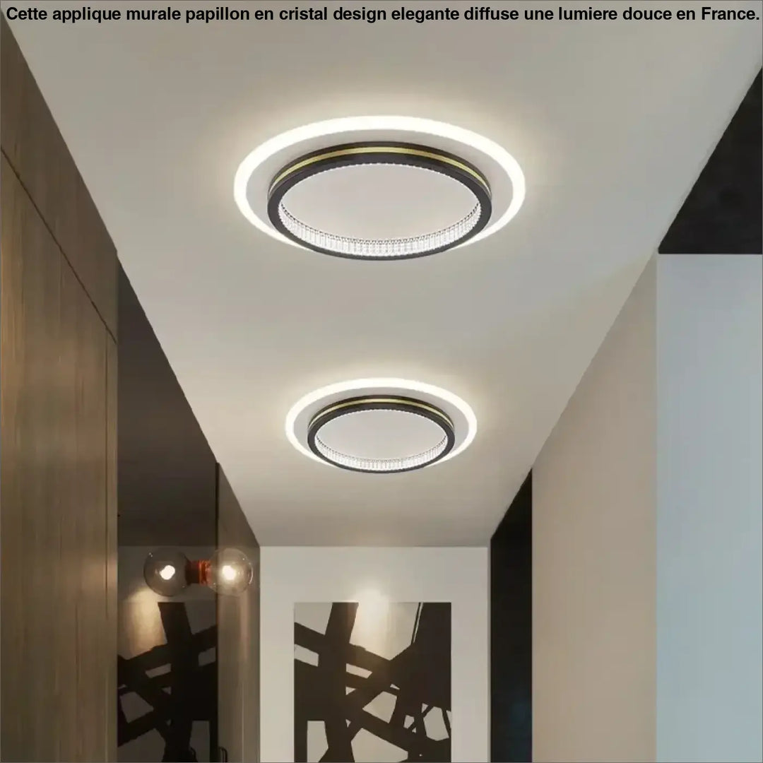 Luminaire Plafonnier LED Noir ou Doré avec Formes Différentes