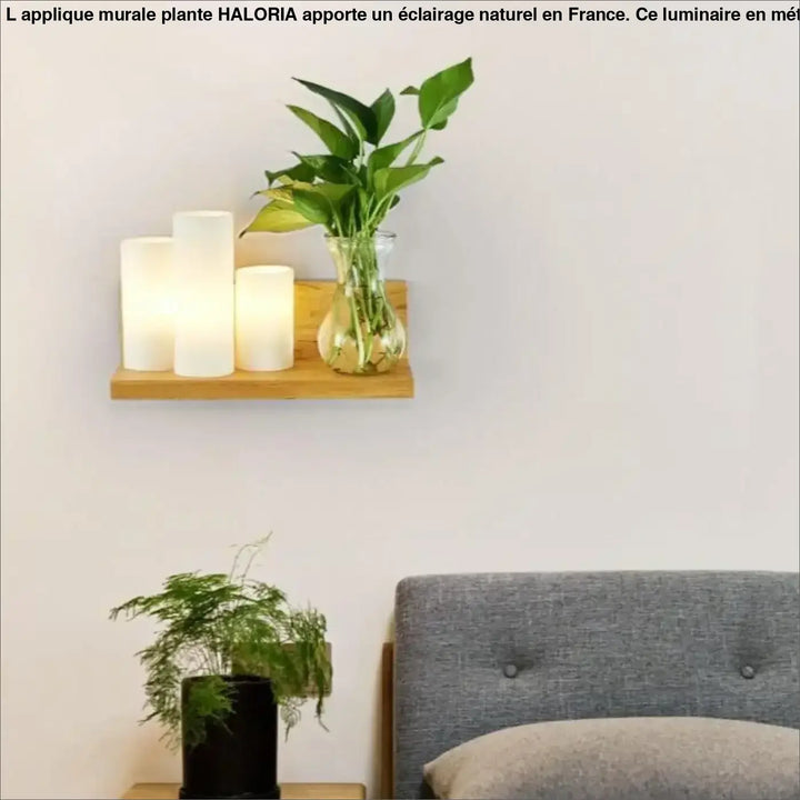 Applique murale plante haloria en bois minimaliste avec bougies blanches cylindriques et vase en verre transparent
