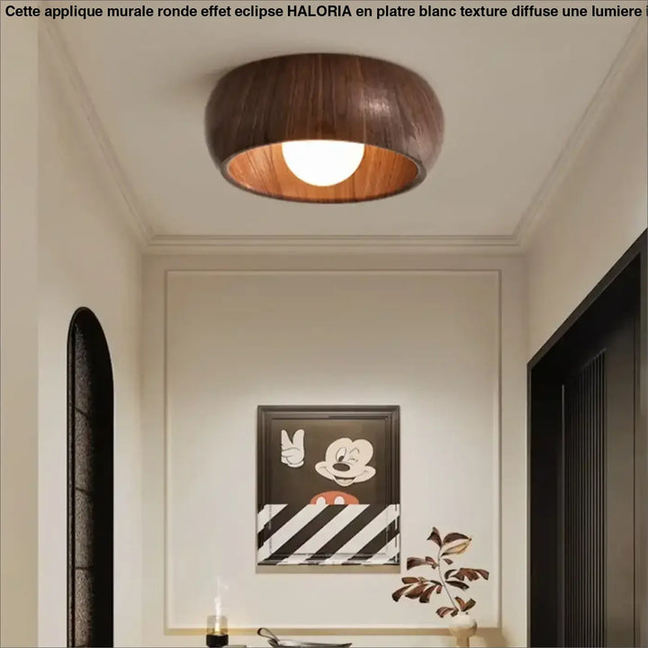 Plafonnier Rond En Bois Clair Et Foncé Pour Couloir

