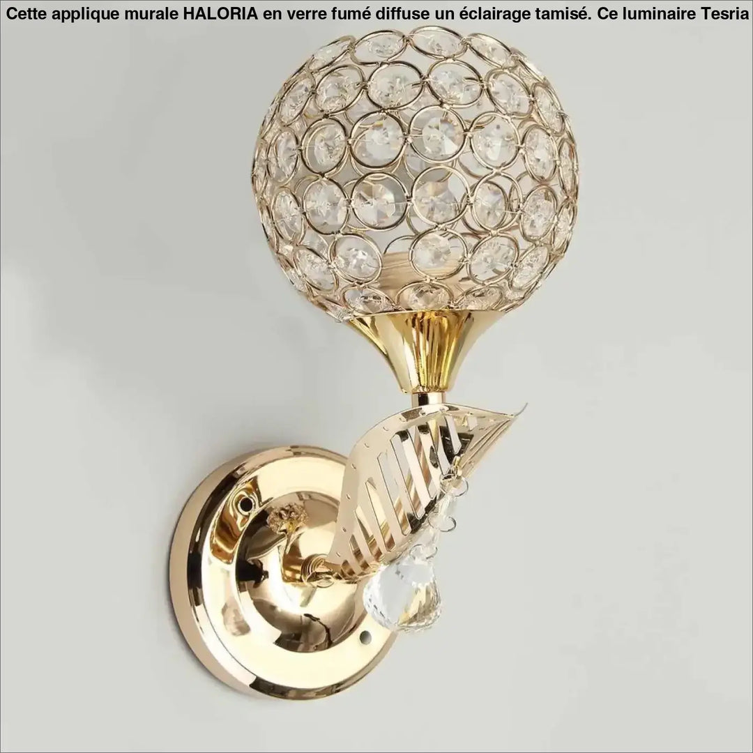Applique murale en ton doré avec globe en verre fumé et bras spiralé décoratif haloria