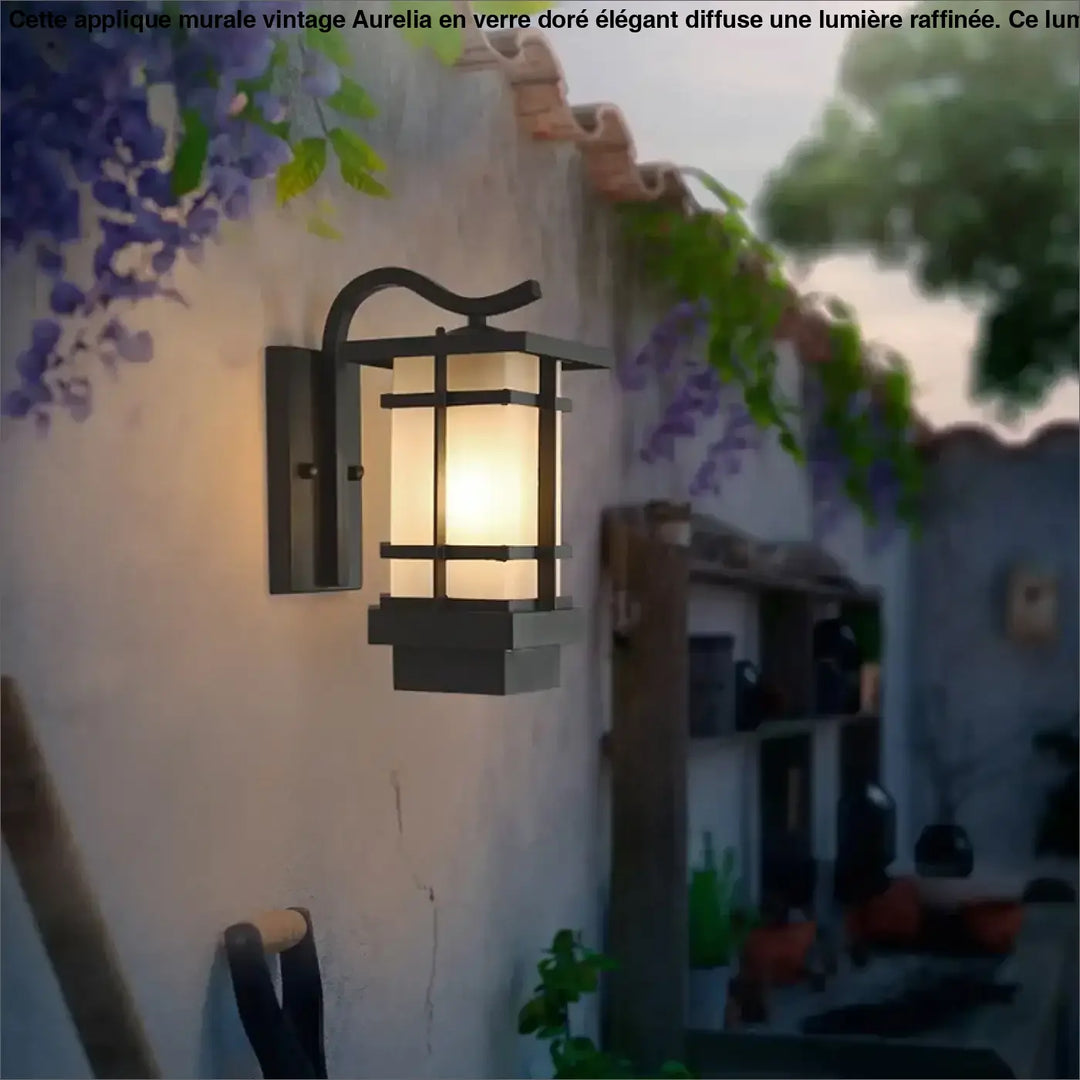 Luminaire extérieur noir en métal avec panneau en verre dépoli chaud et design de lanterne traditionnelle hikari