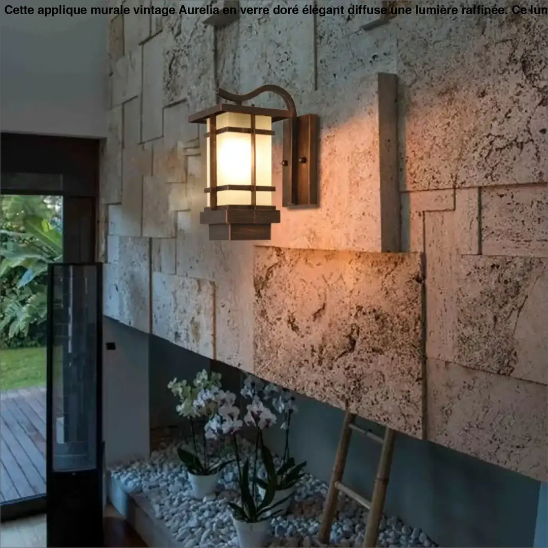 Luminaire extérieur style lanterne rustique en bronze foncé avec panneaux en verre givré monté au mur