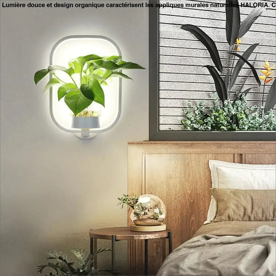 Appliques murales naturelles haloria avec cadre ovale blanc et plante verte en pot gris minimaliste murales naturelles