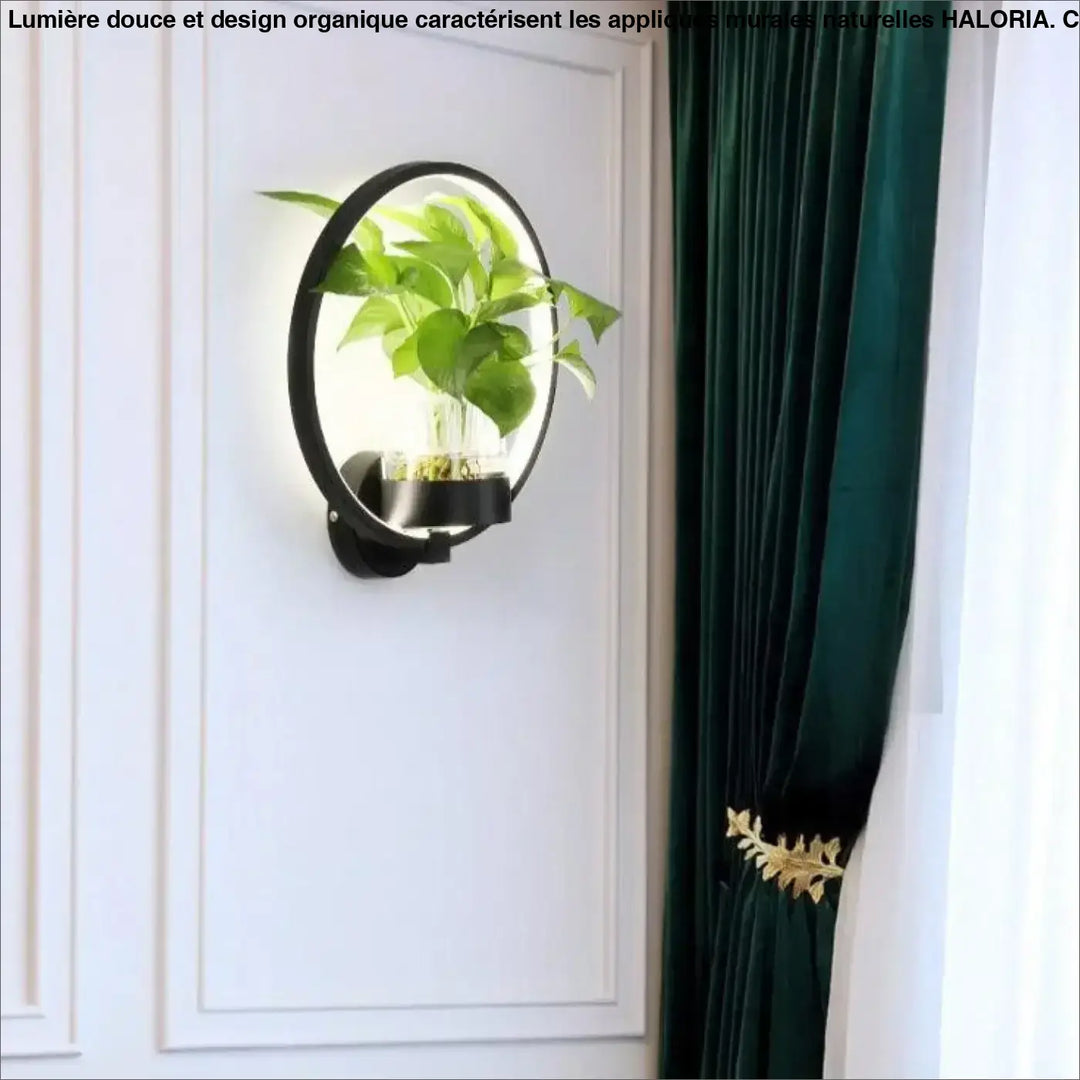 Applique murale naturelle noire avec éclairage led intégré et vase en verre transparent contenant une plante verte
