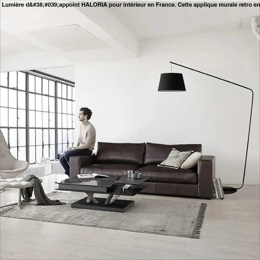 Canapé en cuir marron foncé au design moderne avec deux coussins clairs pour appliques murales retro haloria