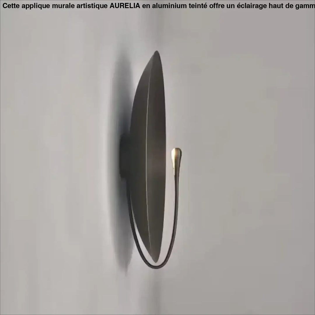 Appliuqe murale artistique haut de gamme en aluminium teinté

