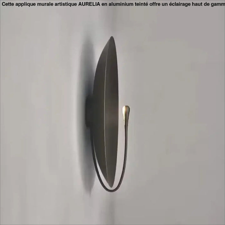 Appliuqe murale artistique haut de gamme en aluminium teinté

