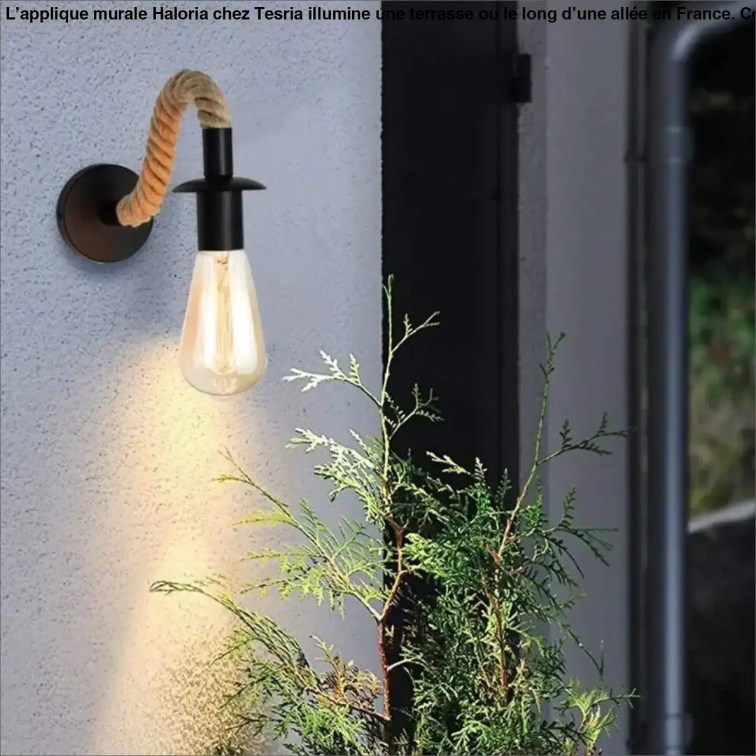 Luminaire extérieur mural noir avec corde torsadée et ampoule edison pour éclairage long d’une allée terrasse haloria