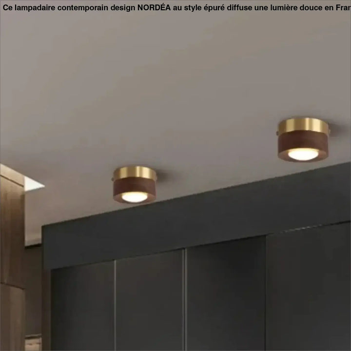 Luminaire plafonnier ulori avec deux spots encastrés finition laiton doré et accents en bois naturel emission chaleureuse