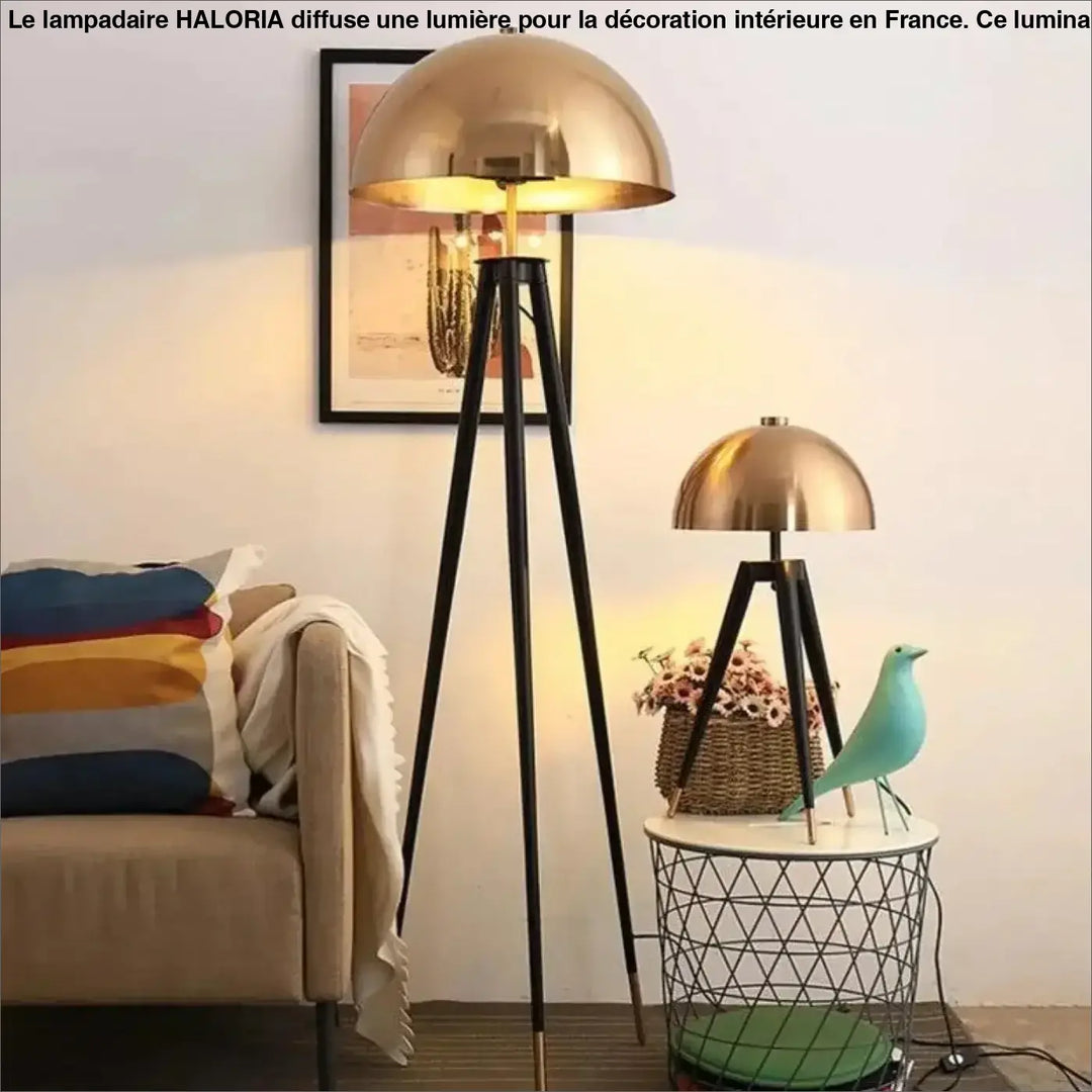 Lampadaire De Salon Sur Pied En Aluminium Noir Et Bronze