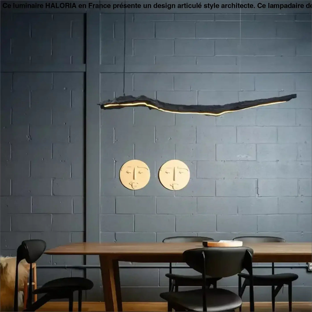 Suspension luminaire led sculpturale ligne organique noir