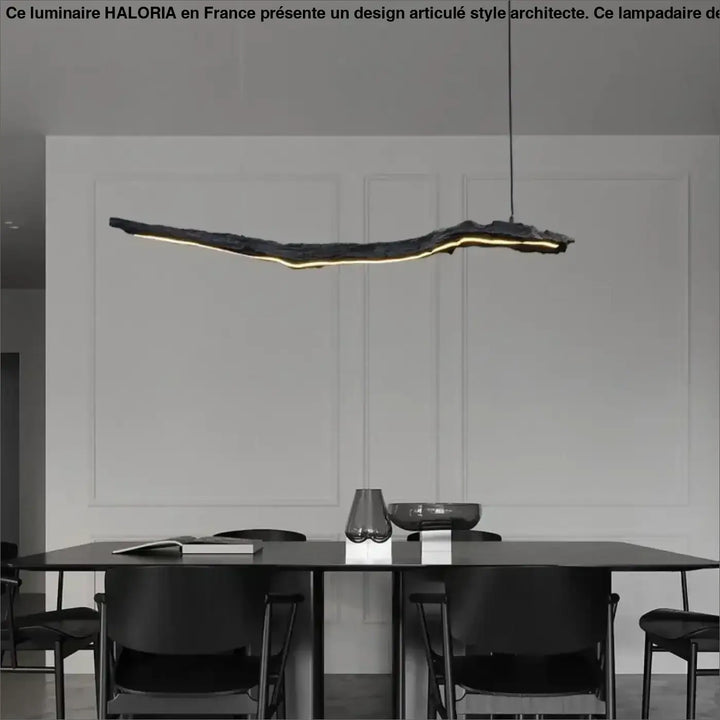 Suspension luminaire led sculpturale ligne organique noir