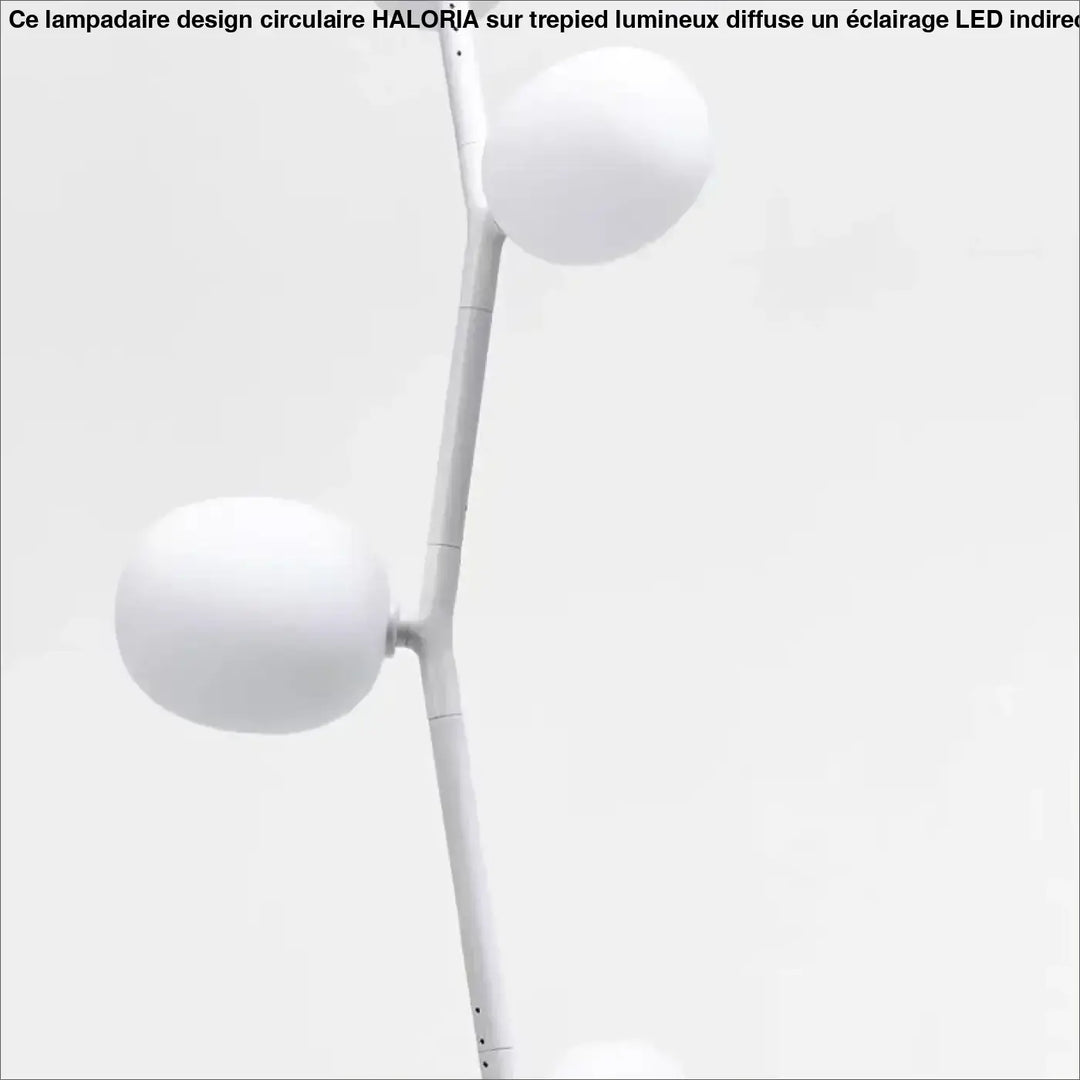 Lampadaire décoratif moderne en métal et globes en verre élégant