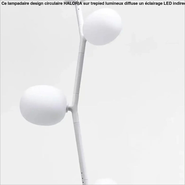 Lampadaire décoratif moderne en métal et globes en verre élégant