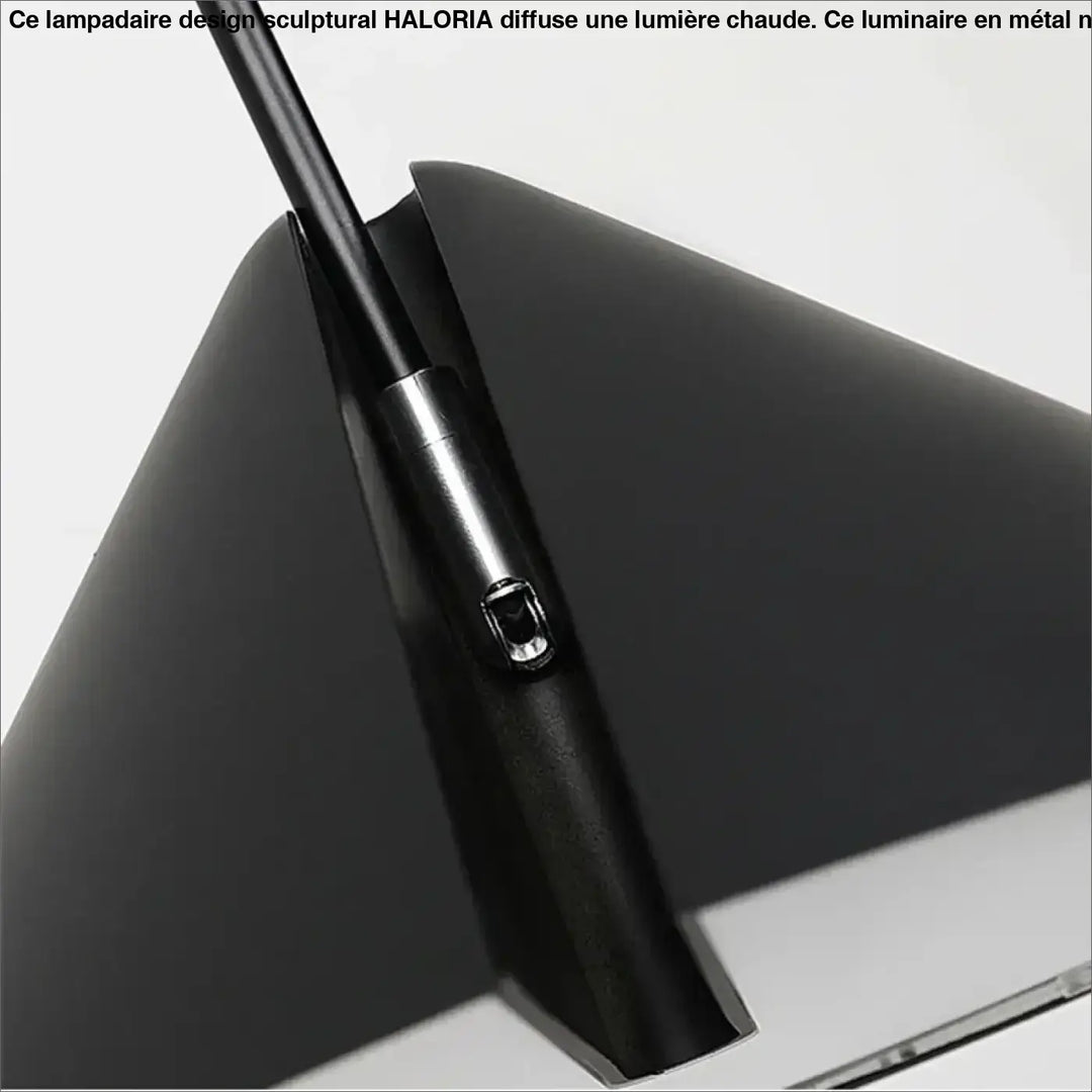 Lampadaire design sculptural noir avec finition mate et accent argent métallique près de la poignée