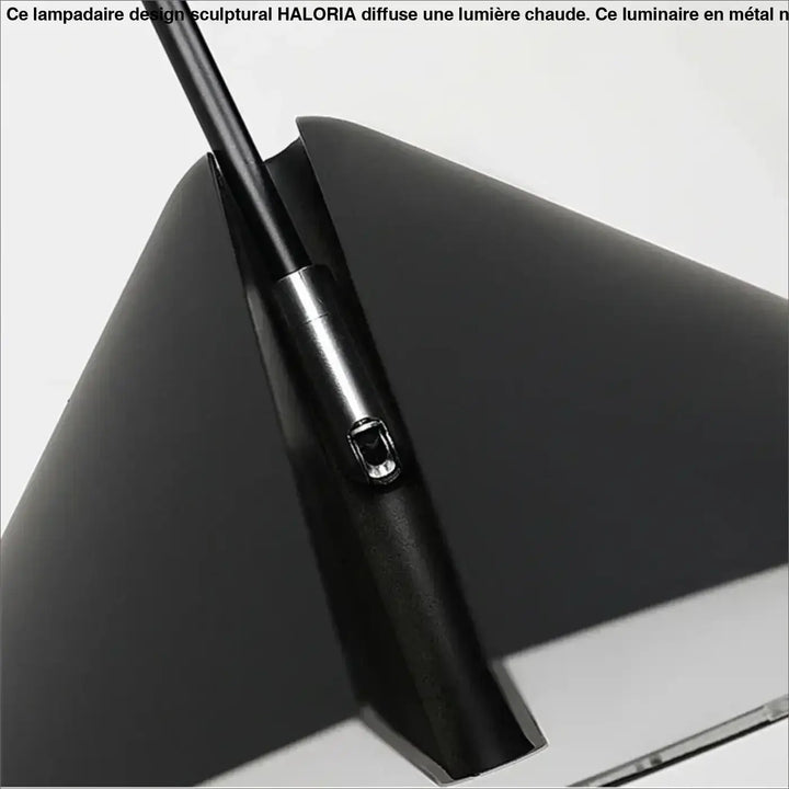 Lampadaire design sculptural noir avec finition mate et accent argent métallique près de la poignée