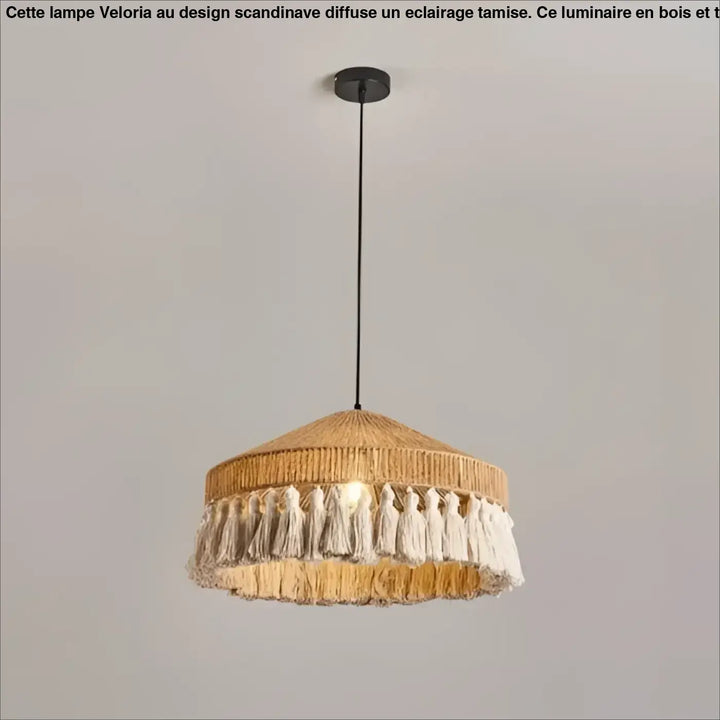 Suspension luminaire bohobo beige avec abat-jour en fibre naturelle et franges décoratives blanches en corde naturelle
