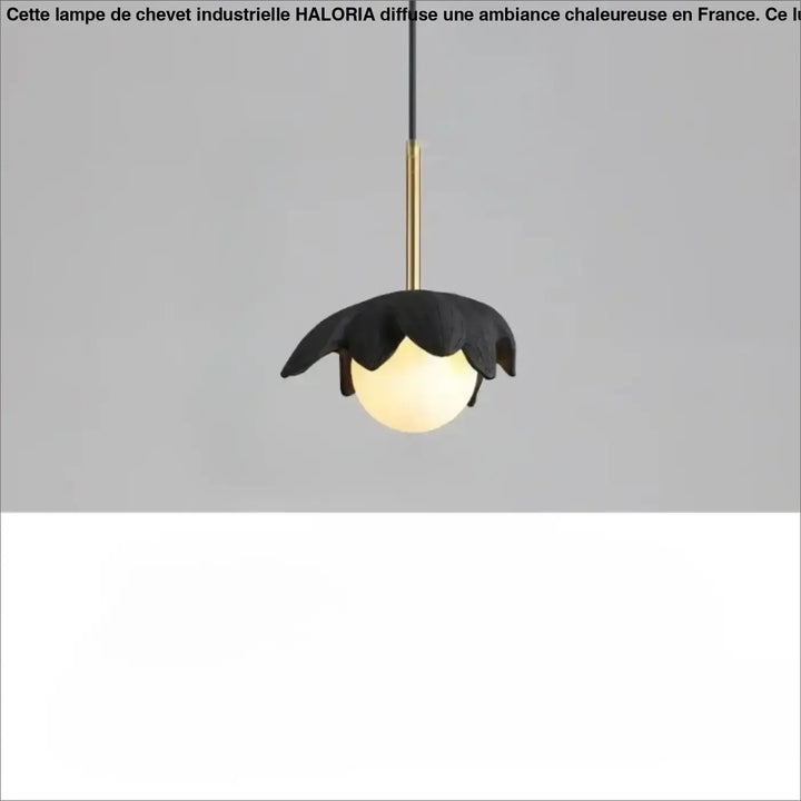Suspension luminaire kalyx en forme de fleur noire avec tige en laiton et globe en verre dépoli