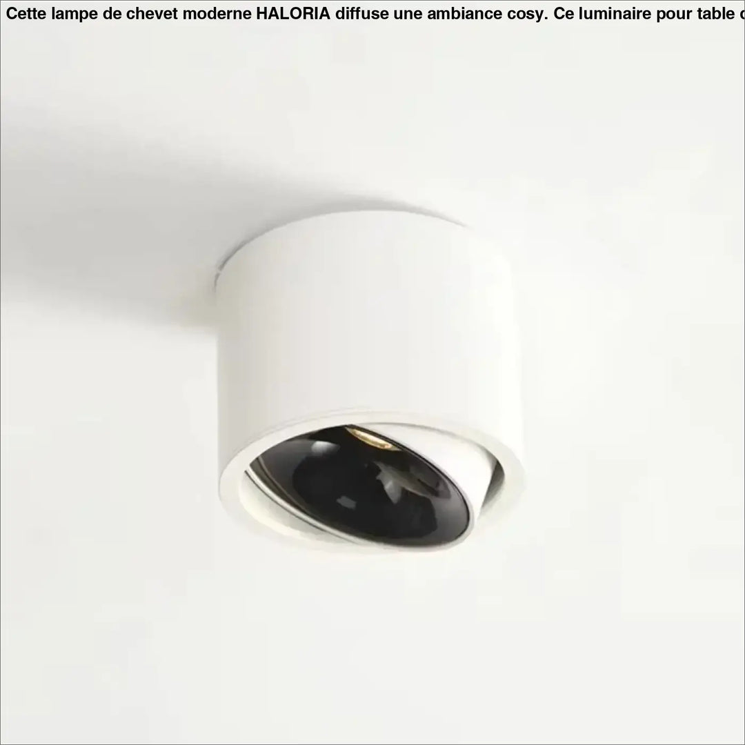 Luminaire plafonnier kryo cylindrique blanc avec réflecteur intérieur noir et flux lumineux réglable d’un variateur