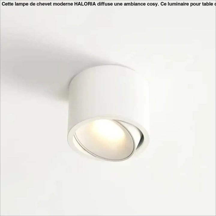Luminaire plafonnier kryo spot encastré blanc cylindrique avec angle d éclairage réglable et flux lumineux optimisé d’un variateur
