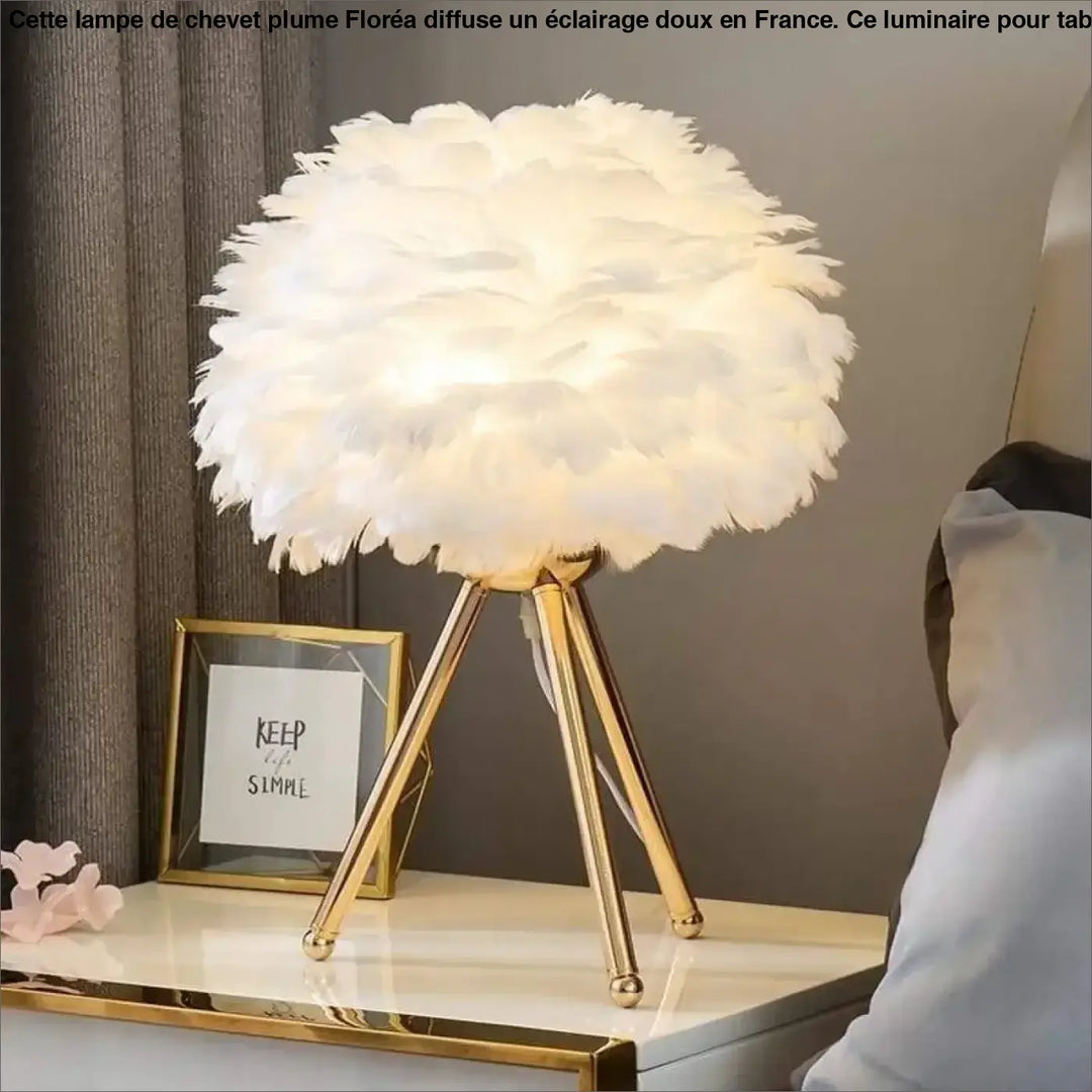 Lampe de Chevet Plume De Couleur Blanche Rose Grise ou Bleu