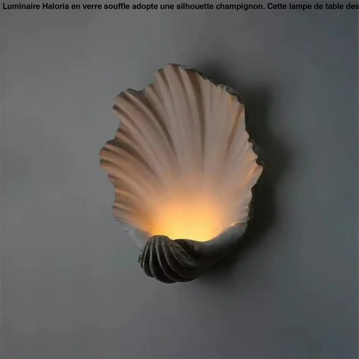 Applique murale coquillage tiauia en forme de coquille détaillée off-white avec base gris foncé et lumière chaude