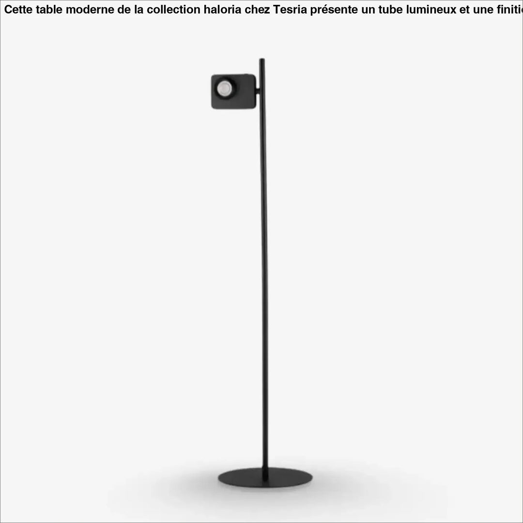 Lampadaire kaelis noir minimaliste avec spot ajustable carré sur pied fin à base circulaire, luminaire contemporain capable