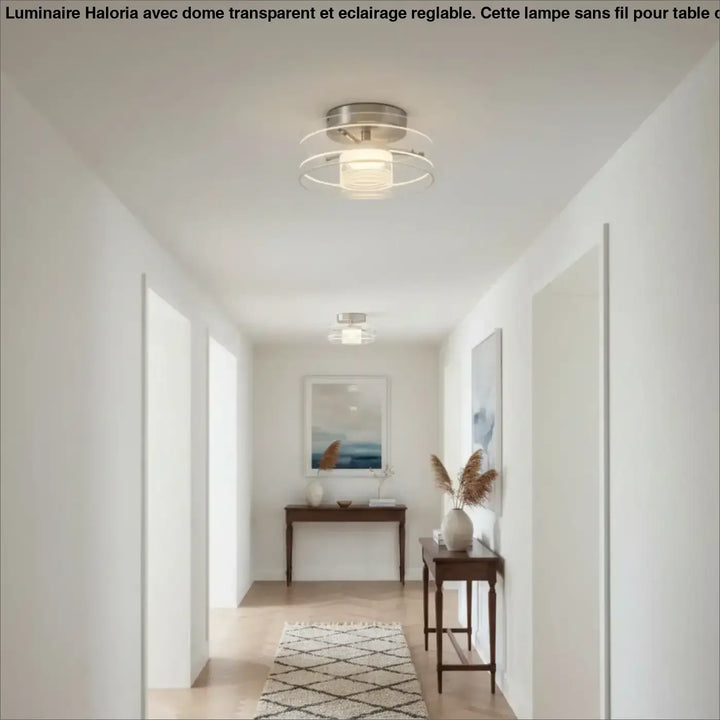 Luminaire plafonnier albeo en nickel brossé avec anneaux circulaires concentriques et diffuseur en verre dépoli