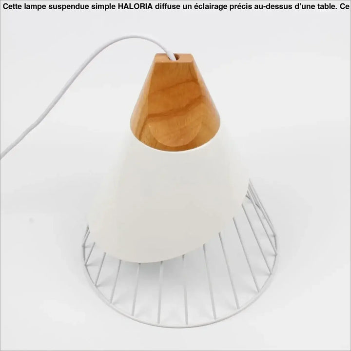Lampe Suspendue Simple Cage Ajourée en Bois