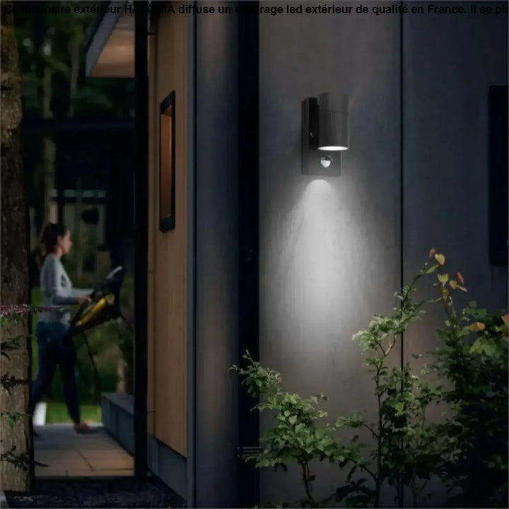 Luminaire à LED Extérieur Applique Faisceau Dirigé